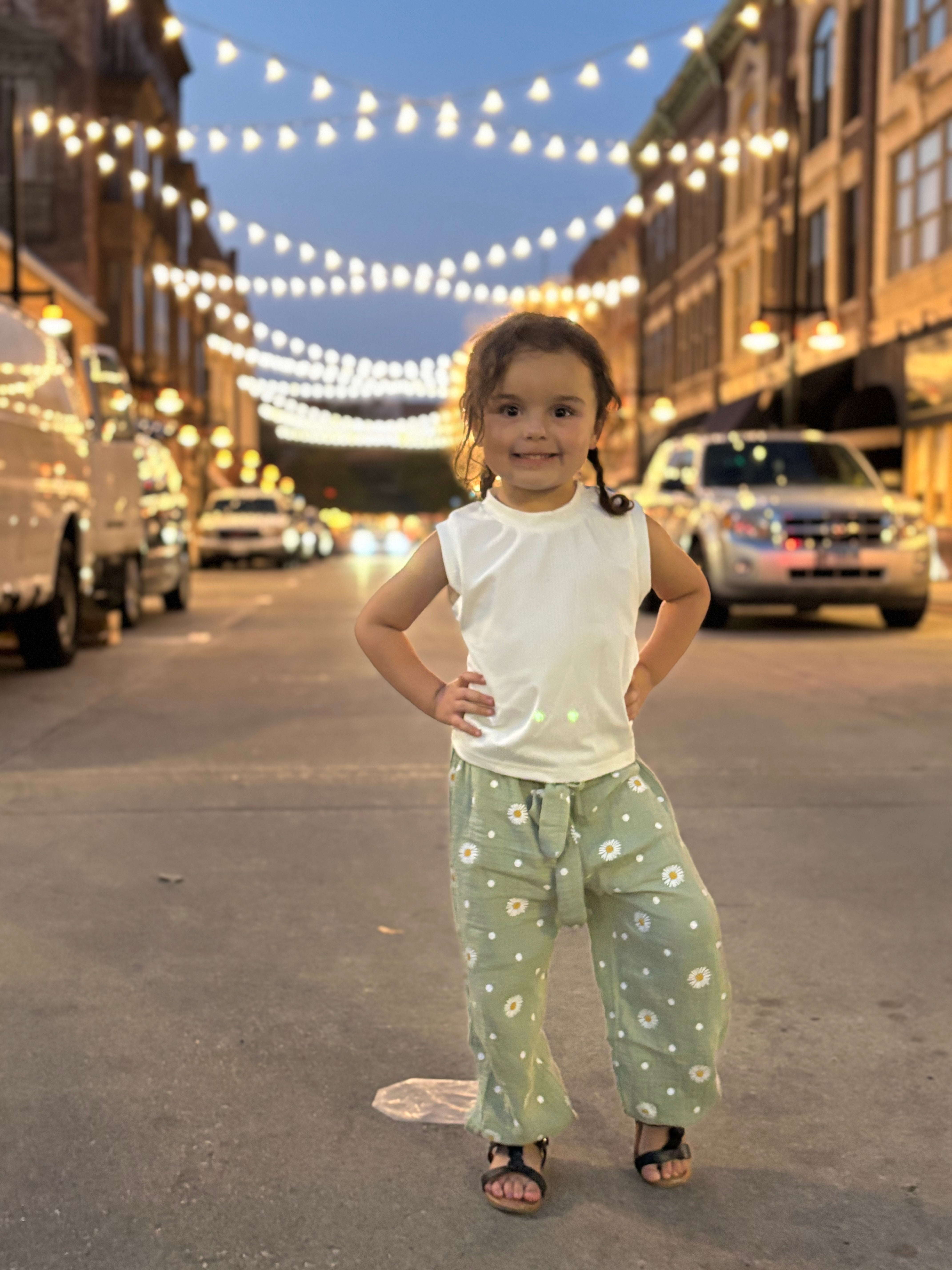 692 fields of daisies